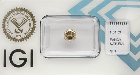 1.01 carat Round diamond Brown SI1