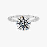 White Gold 18K, Platine