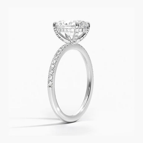 White Gold 18K, Platine