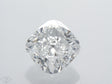4.01 carat Cushion diamond F VS1 