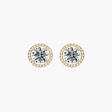 Exception Diamond Earrings