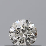 0.23 carat Round diamond G IF Excellent